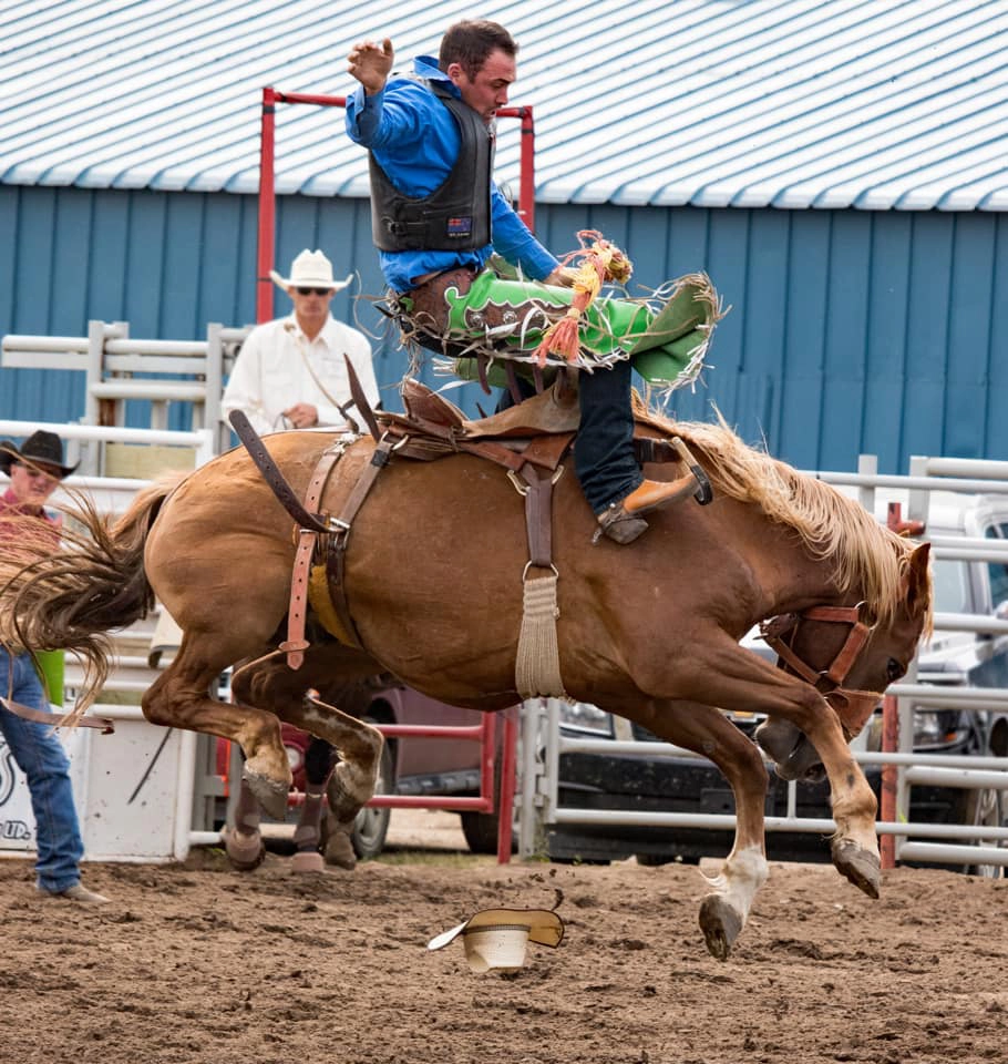 A cowboy rides a bucking horse in a rodeo, showcasing excitement and skill, with spectators and equipment in the background.